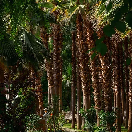 فندق مبيت وإفطار Layla Gocek Adults Only 4*