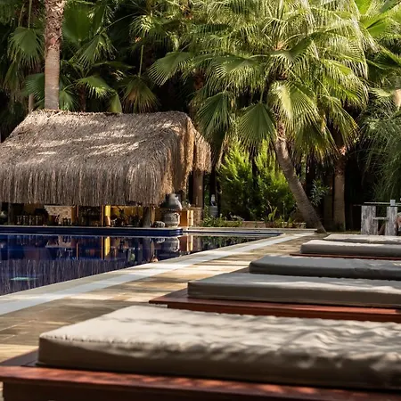 Layla Gocek Adults Only ホテル ギョジェク