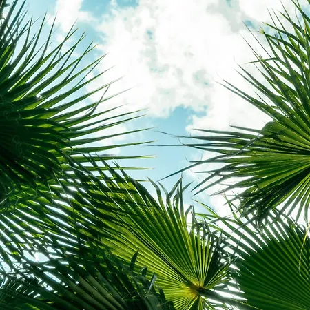 Layla Gocek Adults Only ホテル ギョジェク